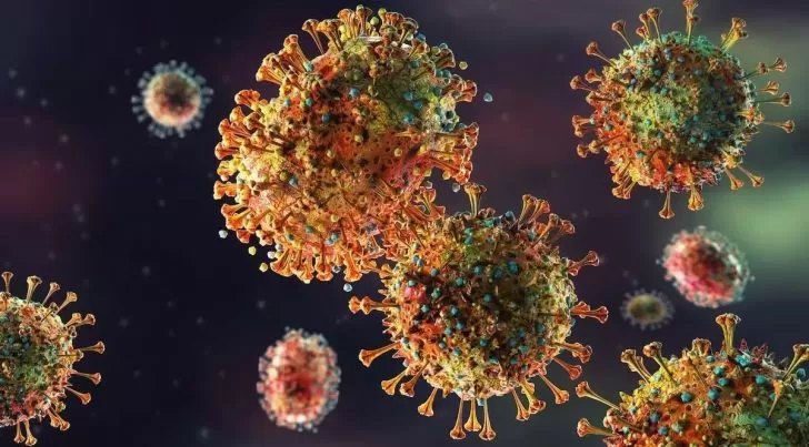 Urgente | China enciende alerta mundial por un nuevo virus similar al Covid-19