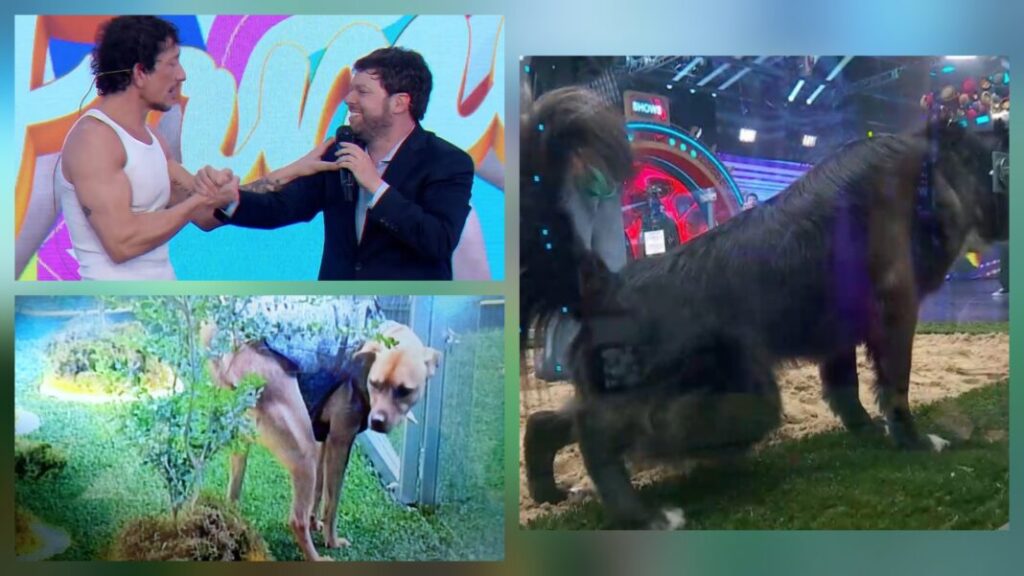 Por momentos daba vergüenza ajena