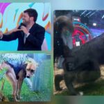Por momentos daba vergüenza ajena