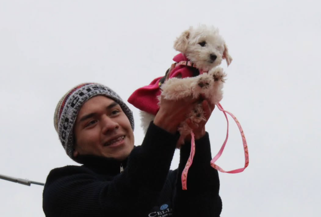 Se viene el ‘Gran Desfile de mascotas edición Halloween’ en La Plata: cuándo y dónde