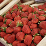 Fiesta de la Frutilla en La Plata: cuándo es, qué habrá y por qué es un producto clave del cordón verde