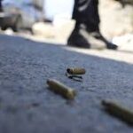 Grave ataque en Berisso: dos hermanos baleados y un detenido tras un violento enfrentamiento