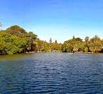 Reclamo por la protección integral del Bosque platense: piden que se haga efectiva la ley vigente