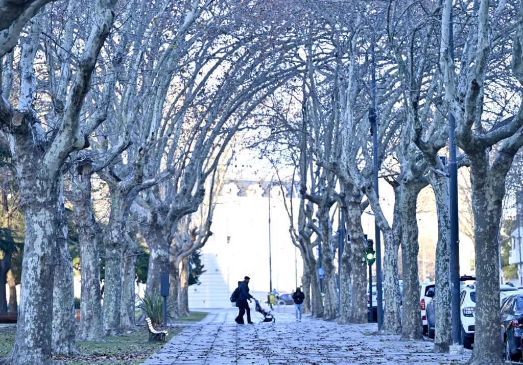 El tiempo cambia en La Plata: regresan las tormentas y llega un marcado descenso de la temperatura