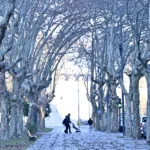 El tiempo cambia en La Plata: regresan las tormentas y llega un marcado descenso de la temperatura